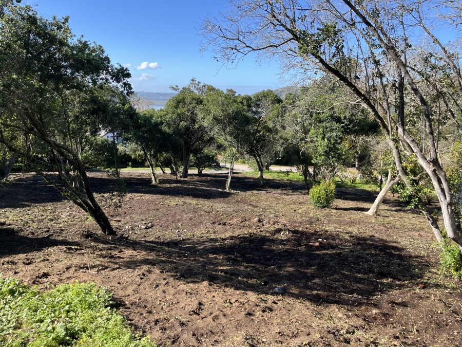 0 Bedroom Property for Sale in Belvidere Estate Western Cape